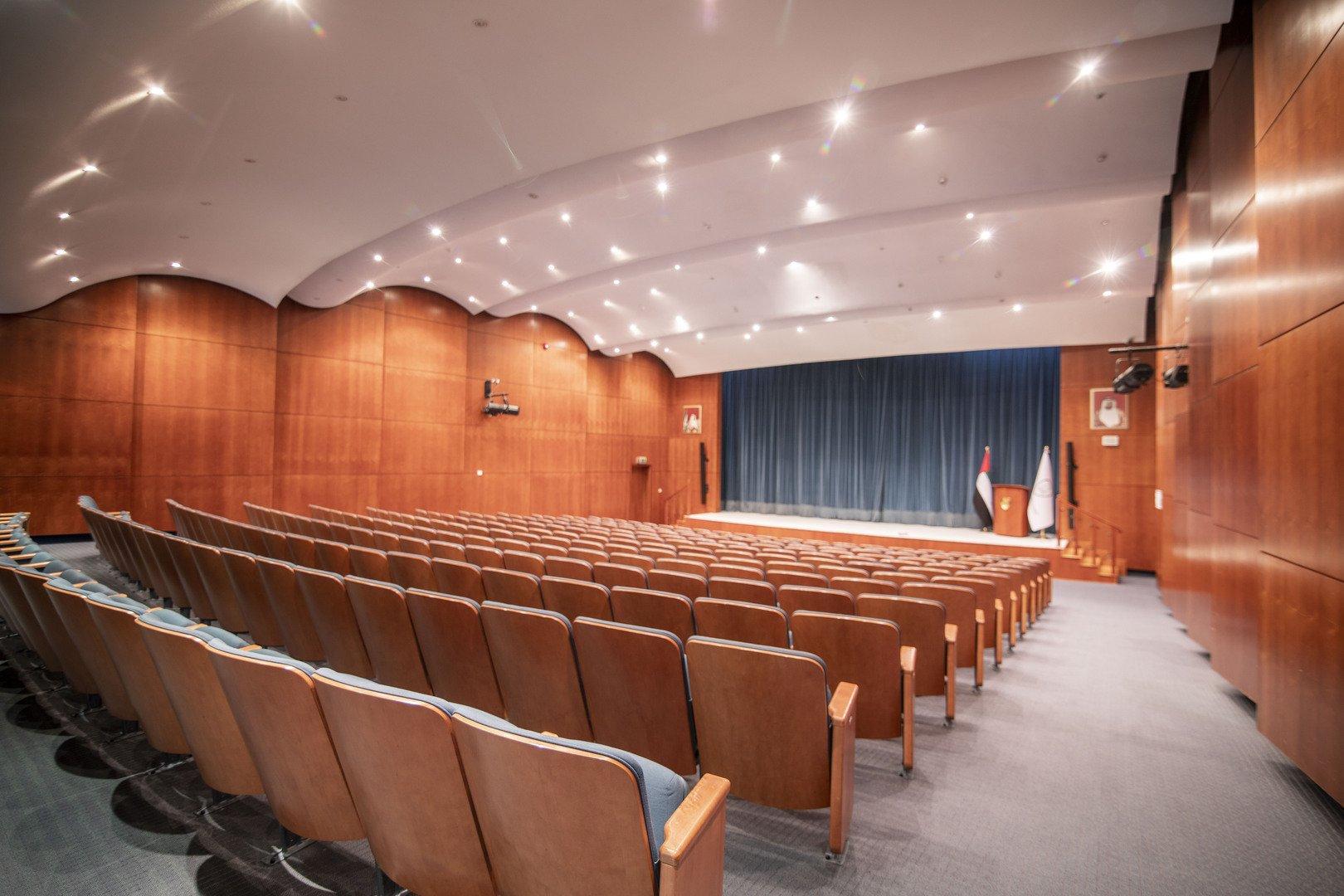 Spotlight Extravaganza