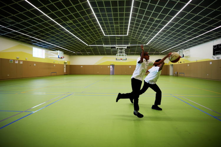 395f34a9-ebf2-43f3-a430-68a02c7000f9